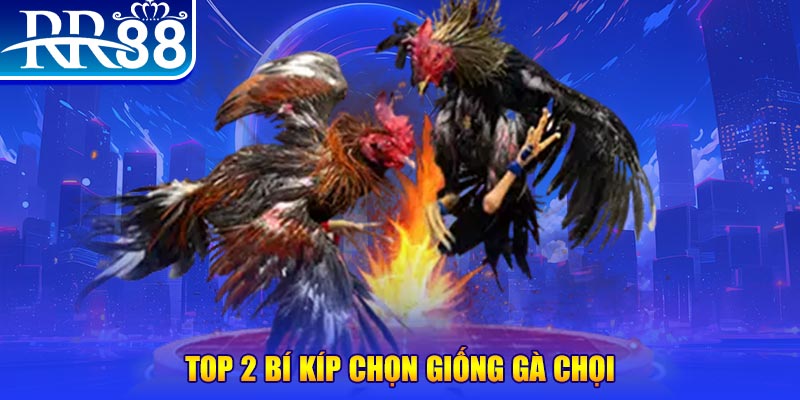 22789win đăng nhập roulette dễ thắng