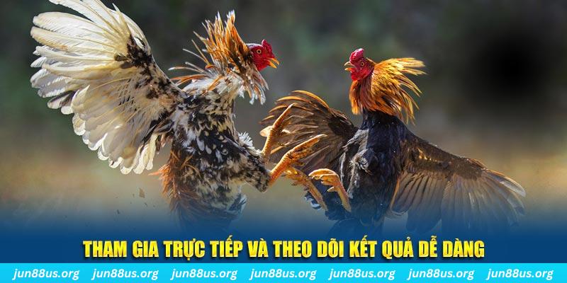 22789win đá gà trực tiếp bình luận viên