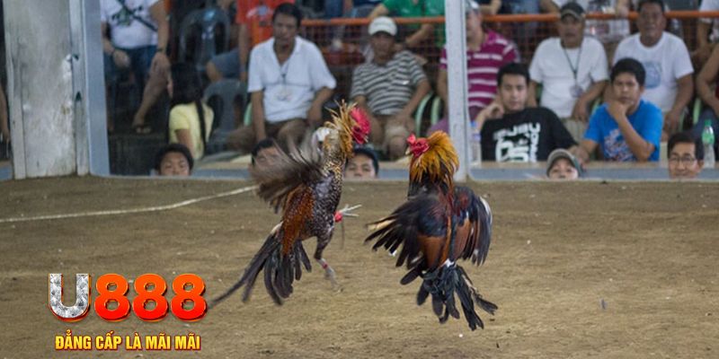 22789win đăng nhập mậu binh online