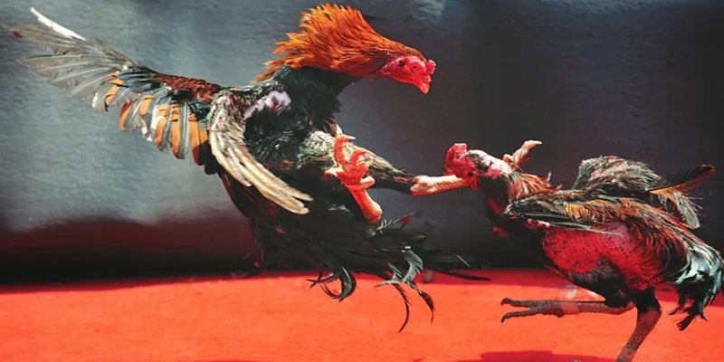 22789win BG Bắn cá