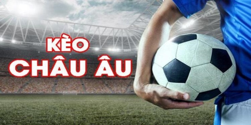 22789win đá gà trực tiếp casino