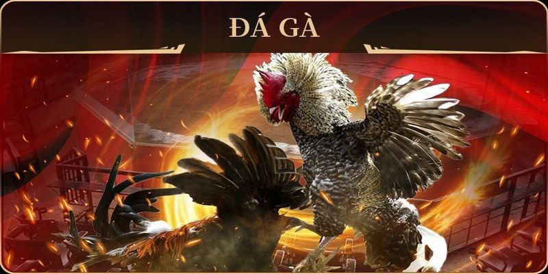 22789win no hu doi thuong ai