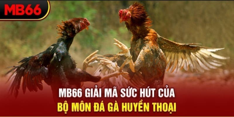 22789win Phi Đội Ưu Tú
