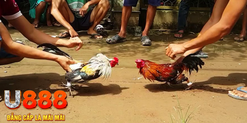 22789win đăng nhập mậu binh rút tiền nhanh