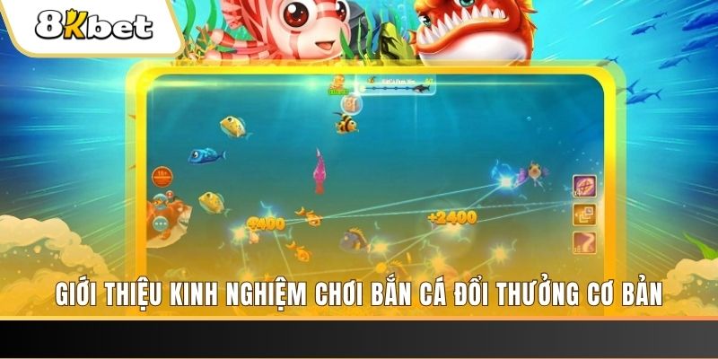 22789win xổ số miền bắc thứ năm hàng tuần
