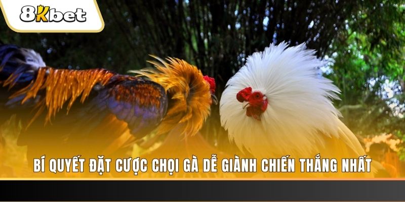 22789win Tài Xỉu 2