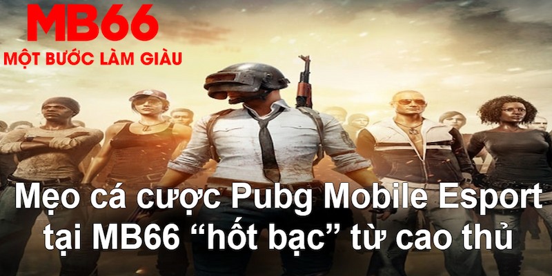 22789win gà chọi mộc hóa