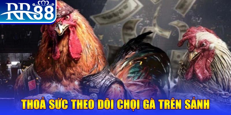 22789win đá gà 88.com