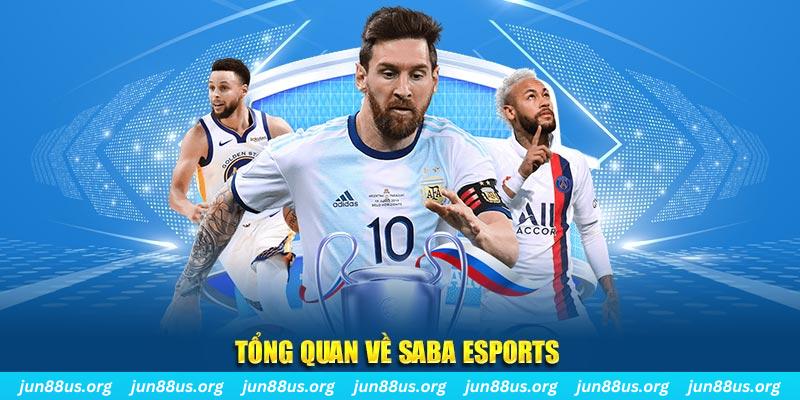 22789win gà chọi c1 tv trực tiếp hôm nay